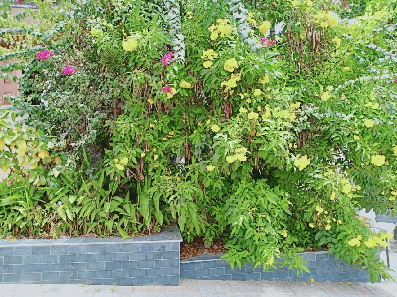Khách Sạn Biệt Thự Nha Trang Star Phòng bức ảnh